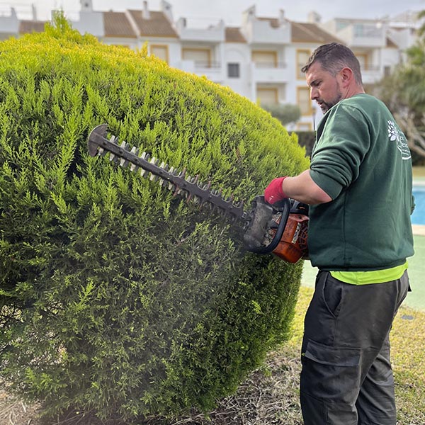 mantenimiento de comunidades la manga del mar menor empresa de jardinería formada por jardineros en La Manga experta en paisajismo y mantenimiento integral de jardines