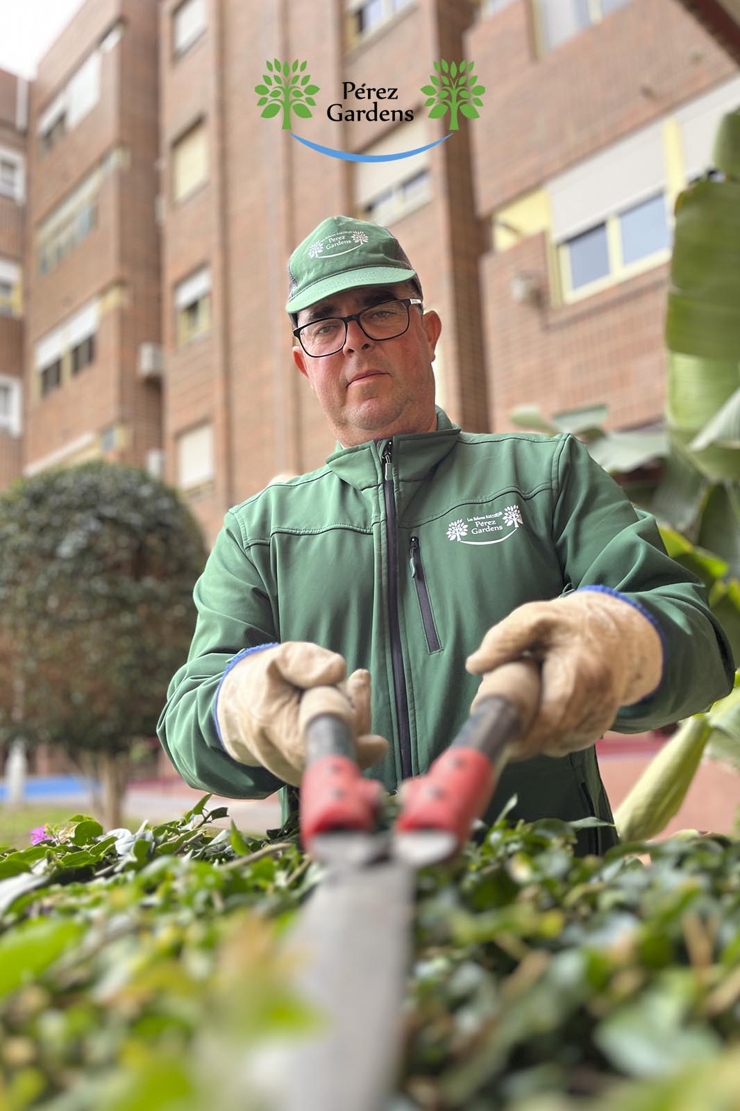 perez gardens empresa de jardineria para comunidades jardineros profesionales en La Manga del Mar Menor Cartagena